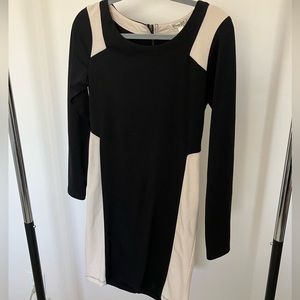 Black & Tan Long Sleeve Dress